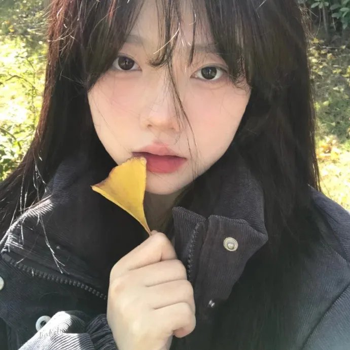 下一个圣诞节见